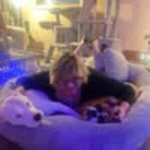 Meet your Posher, Doreen